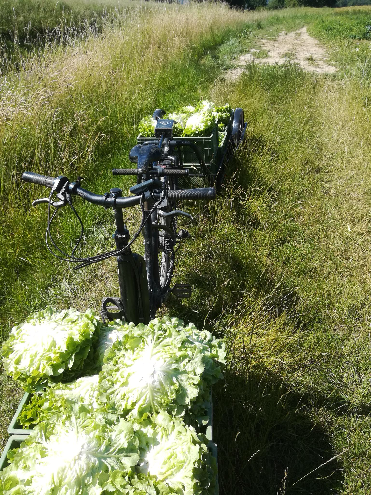 Ackereinsatz in Kirchvers
